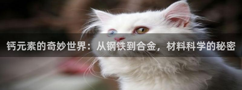 香蕉漫画网页