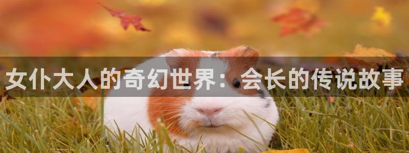 香蕉漫画在线免费看