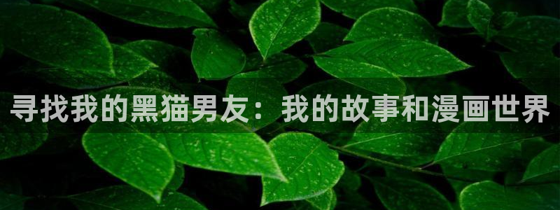 香蕉漫画h